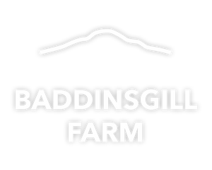 Baddinsgill Farm